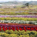 미당시문학관 관광안내소 이미지