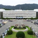 도계체육공원 축구장 이미지
