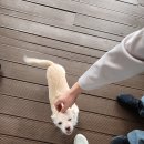 레인보우힐펜션 | 남해 펜션 바다뷰 무지개언덕펜션 후기