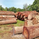 ㈜한국목재 이미지