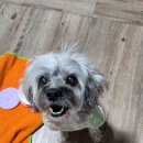 방배한강동물병원 이미지