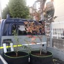 다시농장 이미지