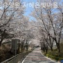 오동마을 이미지