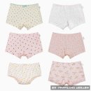 일곱실천 이미지