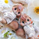 베베앙드레 이미지