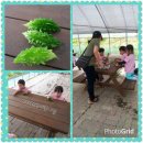 여주-0728 네이버블로그