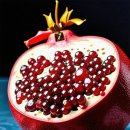 서울스타치과의원 이미지