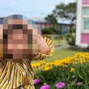 힐 민박 | 서귀포 아이들과 가볼만한곳 여름에 맞는 포토존 top 3 !!!