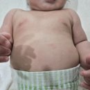 아토베이비 | 몽디에스 아토로션 아기보습로션 후기 땀띠 태열 보습 베이비바디로션 추천