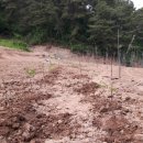 완성농장 이미지