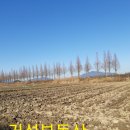 대산부동산중개 이미지