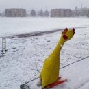 내 손안의 하모니카 : 입문 이미지