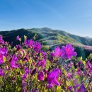 지리산~바래봉1165m 이미지