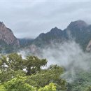 신흥사 | 설악산 신흥사 여행코스, 권금성 케이블카 탑승 후기 (요금·코스 안내)