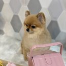 제이앤제이그루밍 이미지