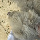 창북초등학교 | 노랭 광수