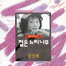 젊은느티나무
