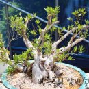 방죽골농장 이미지