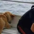 신세계 리조트 이미지