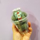 배리트리(VaryTree)