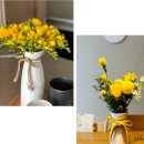 꽃향기머무는집 이미지