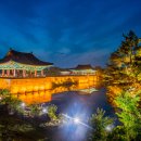 경주 스포츠경향