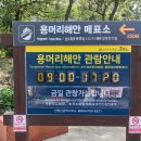 용머리편의점 이미지