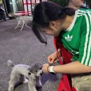 스마일민턴 | 호감도 +3