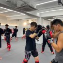 하바스MMA 압구정 이미지