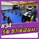 호림익스트림합기도 이미지