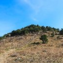 향유목장2 이미지