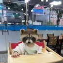 구이가 | [시흥] 정왕역 맛집 구이가 방문후기