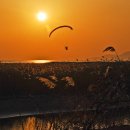 물처럼 바람처럼 이미지