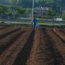 요한이네농장 이미지