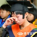 추산초 이미지