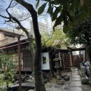 통큰갈비원미점 | 이제는 써야한다 도쿄 여행기 3편 [完]