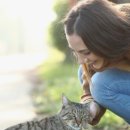 현대 강아지＆고양이 이미지