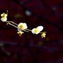 군외초등학교 이미지