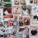 블루드라이어드 이미지