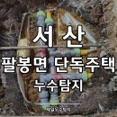 팔봉면 | 서산누수탐지 팔봉면 단독주택 냉수배관 문제 해결!