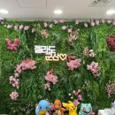 젤라또공대 이미지