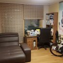 임현진 카카오 검색결과