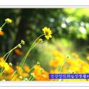 고운얼굴