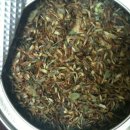 허브닷컴 이미지