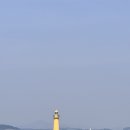 동백꽃식당 | 3월 봄 축제 추천 충남 서천 동백꽃 쭈꾸미 축제 광천식당 쭈꾸미 샤브 먹방후기
