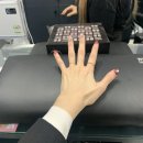 탑독네일