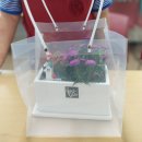 그림책 꽃 피었네 이미지