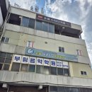 부림태권도장 이미지