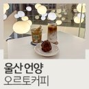 오르토커피 이미지