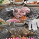 부산 산꼼장어 네이버블로그